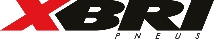 XBRI